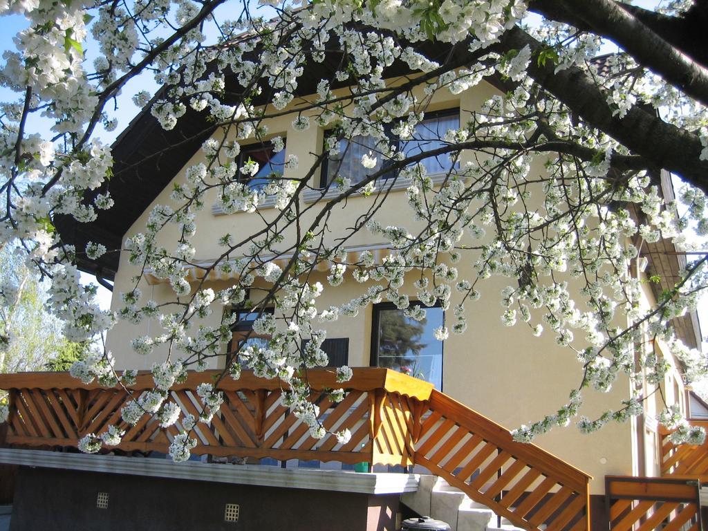 St. Michael Apartman Βουδαπέστη Εξωτερικό φωτογραφία